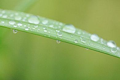 “喜加一”周报（6.27-7.3）：科幻探索和卡牌双丰收